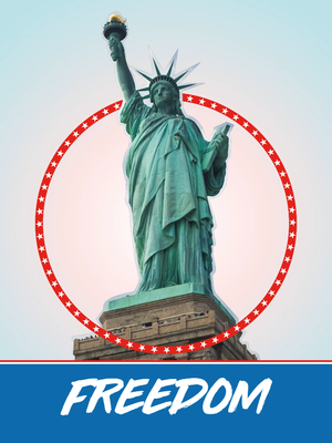 Custom Outdoor Yard Signs Multiple Sizes America Freedom