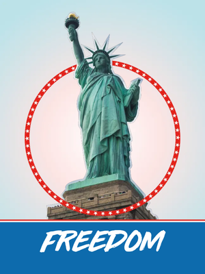 Custom Outdoor Yard Signs Multiple Sizes America Freedom