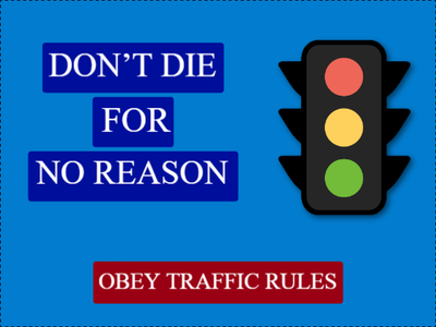 Custom Outdoor Yard Signs Multiple Sizes Obey Traffic Rules