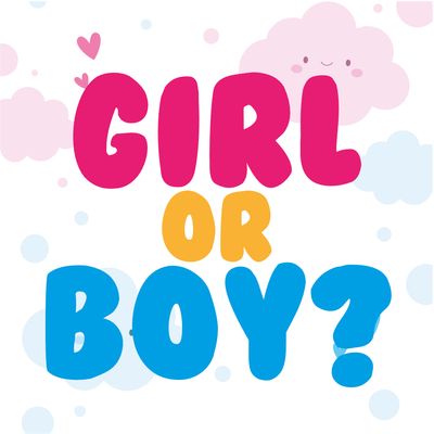 Custom Outdoor Yard Signs Multiple Sizes Gender Reveal