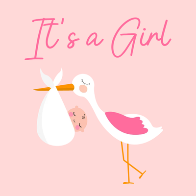 Custom Outdoor Yard Signs Multiple Sizes It's A Girl