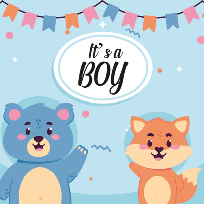Custom Outdoor Yard Signs Multiple Sizes It's  A Boy Sign