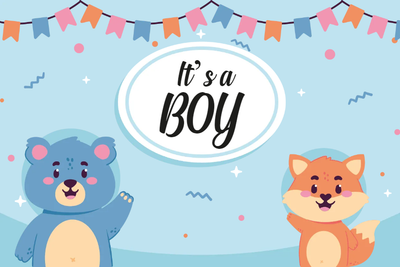 Custom Outdoor Yard Signs Multiple Sizes It's  A Boy Sign