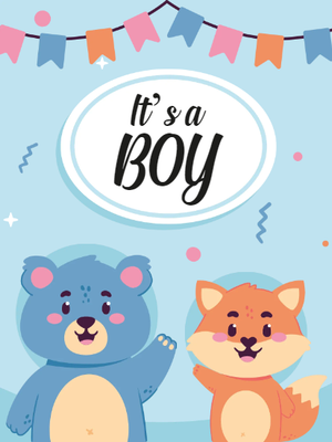 Custom Outdoor Yard Signs Multiple Sizes It's  A Boy Sign