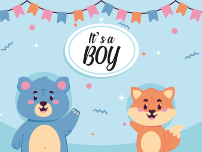 Custom Outdoor Yard Signs Multiple Sizes It's  A Boy Sign