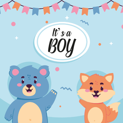 Custom Outdoor Yard Signs Multiple Sizes It's  A Boy Sign