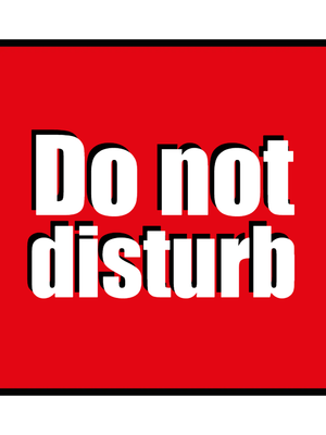 Custom Outdoor Yard Signs Multiple Sizes No Disturbances Allowed