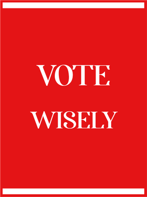 Custom Outdoor Yard Signs Multiple Sizes Vote Wisely