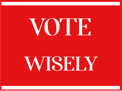 Custom Outdoor Yard Signs Multiple Sizes Vote Wisely