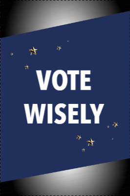 Custom Outdoor Yard Signs Multiple Sizes Vote Wisely