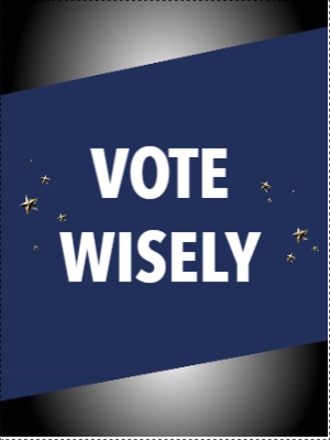 Custom Outdoor Yard Signs Multiple Sizes Vote Wisely