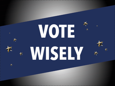Custom Outdoor Yard Signs Multiple Sizes Vote Wisely