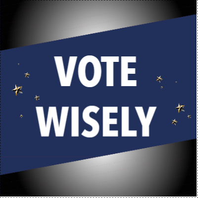 Custom Outdoor Yard Signs Multiple Sizes Vote Wisely