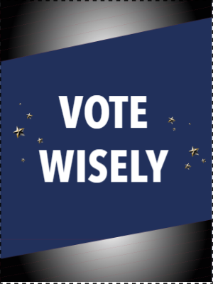 Custom Outdoor Yard Signs Multiple Sizes Vote Wisely