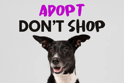 Custom Outdoor Yard Signs Multiple Sizes Adopt Don't Shop