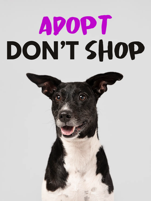 Custom Outdoor Yard Signs Multiple Sizes Adopt Don't Shop