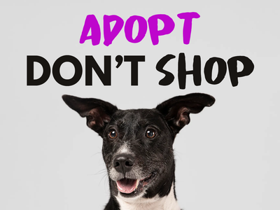 Custom Outdoor Yard Signs Multiple Sizes Adopt Don't Shop