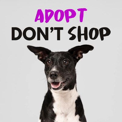 Custom Outdoor Yard Signs Multiple Sizes Adopt Don't Shop