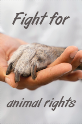 Custom Outdoor Yard Signs Multiple Sizes Animal Rights