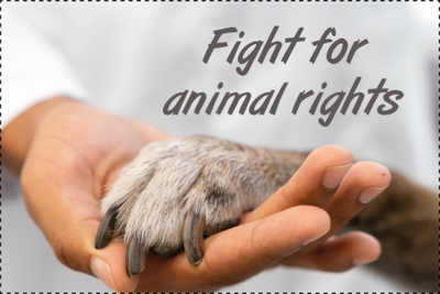 Custom Outdoor Yard Signs Multiple Sizes Animal Rights