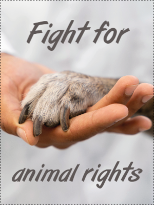 Custom Outdoor Yard Signs Multiple Sizes Animal Rights