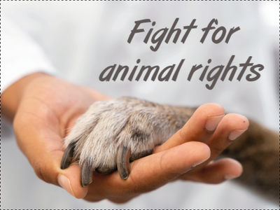 Custom Outdoor Yard Signs Multiple Sizes Animal Rights