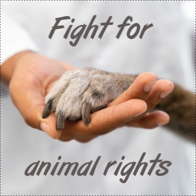 Custom Outdoor Yard Signs Multiple Sizes Animal Rights