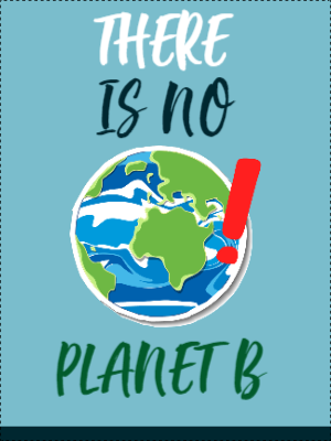 Custom Outdoor Yard Signs Multiple Sizes No Planet B