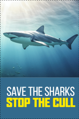 Custom Outdoor Yard Signs Multiple Sizes Save The Sharks