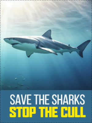 Custom Outdoor Yard Signs Multiple Sizes Save The Sharks
