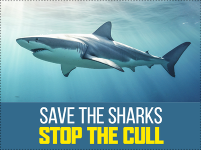 Custom Outdoor Yard Signs Multiple Sizes Save The Sharks