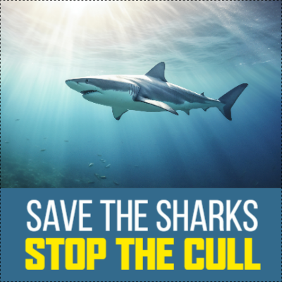 Custom Outdoor Yard Signs Multiple Sizes Save The Sharks