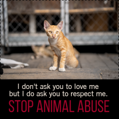 Custom Outdoor Yard Signs Multiple Sizes Stop Animal Abuse