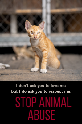 Custom Outdoor Yard Signs Multiple Sizes Stop Animal Abuse