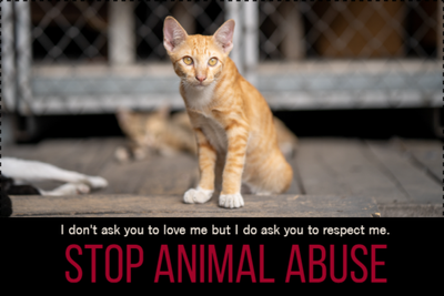 Custom Outdoor Yard Signs Multiple Sizes Stop Animal Abuse