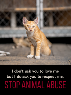 Custom Outdoor Yard Signs Multiple Sizes Stop Animal Abuse
