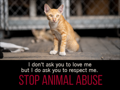 Custom Outdoor Yard Signs Multiple Sizes Stop Animal Abuse