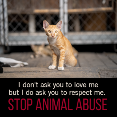 Custom Outdoor Yard Signs Multiple Sizes Stop Animal Abuse