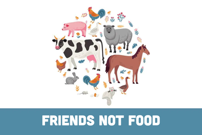 Custom Outdoor Yard Signs Multiple Sizes Friends Not Food