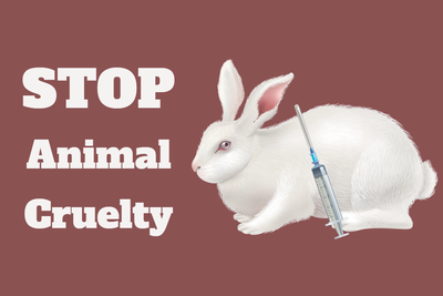 Custom Outdoor Yard Signs Multiple Sizes Stop Animal Cruelty