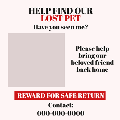 Custom Outdoor Yard Signs Multiple Sizes Lost Pet