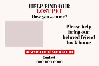 Custom Outdoor Yard Signs Multiple Sizes Lost Pet