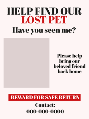 Custom Outdoor Yard Signs Multiple Sizes Lost Pet