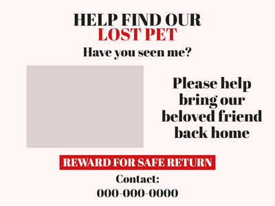 Custom Outdoor Yard Signs Multiple Sizes Lost Pet