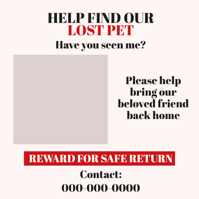 Custom Outdoor Yard Signs Multiple Sizes Lost Pet