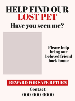 Custom Outdoor Yard Signs Multiple Sizes Lost Pet