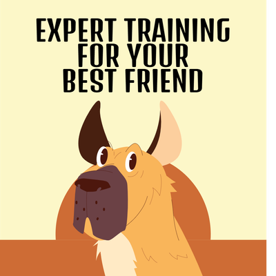 Custom Outdoor Yard Signs Multiple Sizes Canine Academy