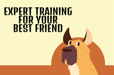 Custom Outdoor Yard Signs Multiple Sizes Canine Academy