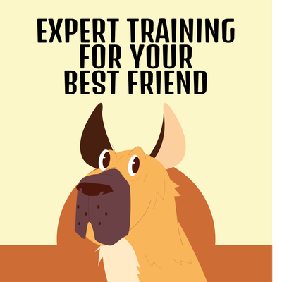 Custom Outdoor Yard Signs Multiple Sizes Canine Academy