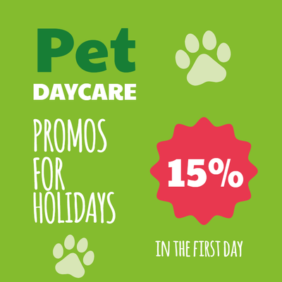 Custom Outdoor Yard Signs Multiple Sizes Pet Daycare